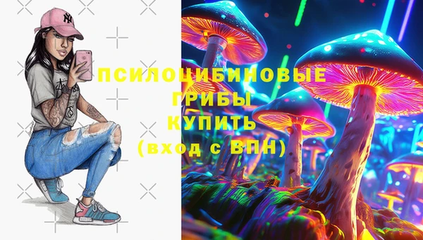 PSILOCYBIN Богородск