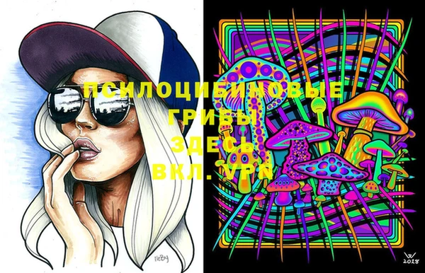 PSILOCYBIN Богородск